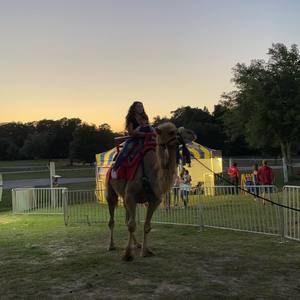 Meet your Posher, Haley